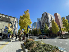 センチュリー赤坂門ビ