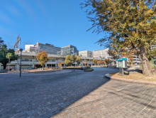 徒歩1分の音羽公園