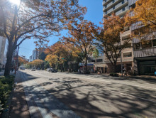 事務機ビル前面の通り