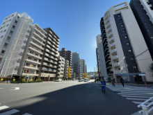 近くの目白通り