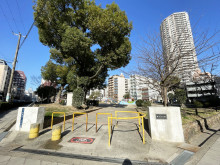 向かいの南大江公園