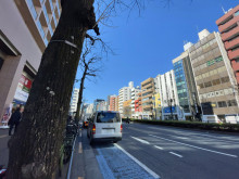 四谷ビル前面の通り