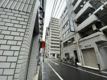 コスモス御苑／カテリ