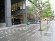 前面通りは緑が豊か