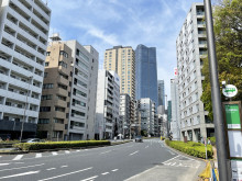 第2富田ビル前面の桜
