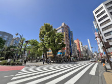 富士喜ビル前面通り