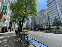 サワノボリビル前面の