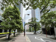 SUNTORAビル前面の通り