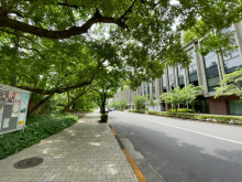 KKDビル前面の通り