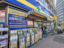 向かいの通りのどらっ