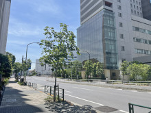 大滝ビル前面の旧海岸