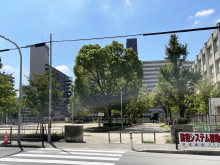 徒歩2分の日吉公園