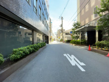 マルニビル前面の通り