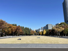 付近の日比谷公園