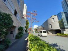 MTビルディング前面