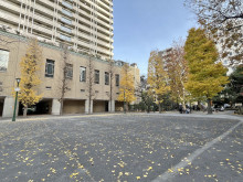 向かいの京橋公園