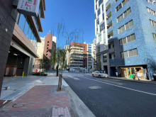 ライトビル前面の通り