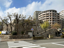 近くの花隈公園