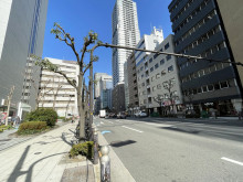 肥後橋ユニオンビル前