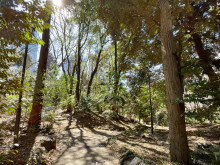 ビル裏の清水谷公園