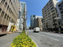サクラビル前面の桜田