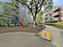 裏手のあかつき公園冒