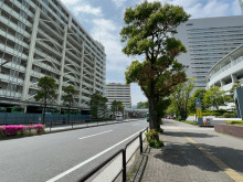 品川インターシティC