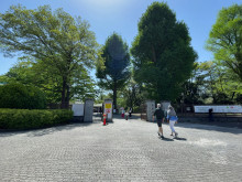 向かいの新宿御苑