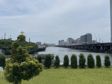 付近の京浜運河