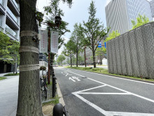 本町ガーデンシティテ