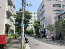 芝ビル前面の通り