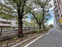 東山神興ビル前面の目