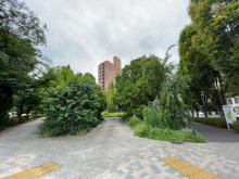 徒歩4分の千鳥ヶ淵公