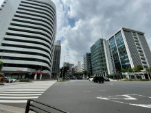 近くの青山通り