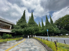 近くの明治神宮外苑 