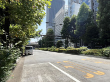 タカセビル前面のグリ