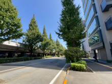 ダヴィンチ千駄ヶ谷前