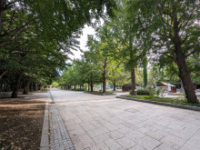 向かいの中島公園