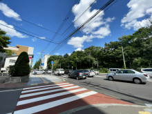 マーシャルノーズ2ビ