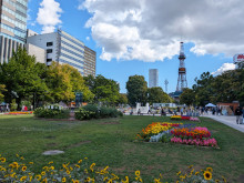 向かいの大通公園
