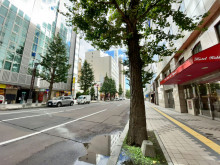 タケサトビル前面の西