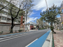 エクスクルーシェブ長