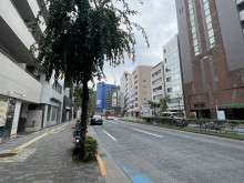 パーシモン・チバ前面