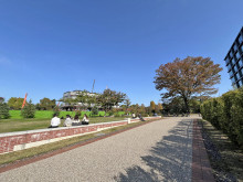 向かいの通りの皇居外