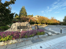 近くの榴岡公園