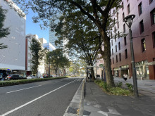 青葉通りパークビルデ