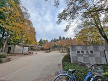 徒歩圏内の錦町公園