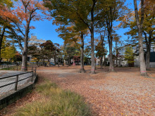 向かいの勝山公園