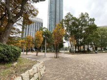 同じ通りにある上福島