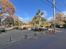 隣の羽根木公園